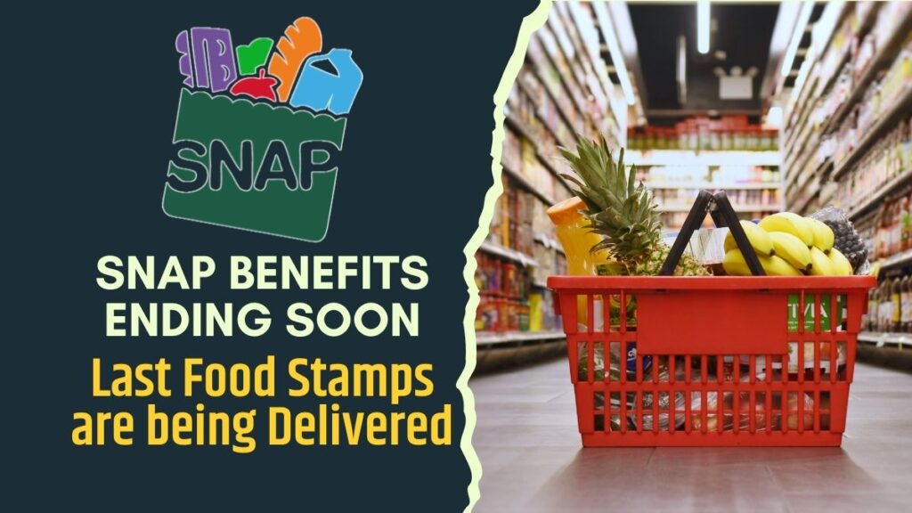 SNAP Benefits August